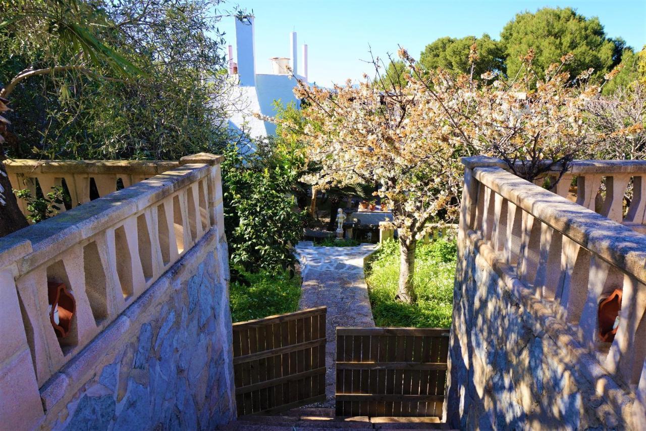 Finca La Siesta - Villa In Betlem, Mallorca كولونيا دي سانت بير المظهر الخارجي الصورة